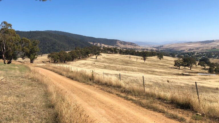 High country panorama - looking up the Omeo valley